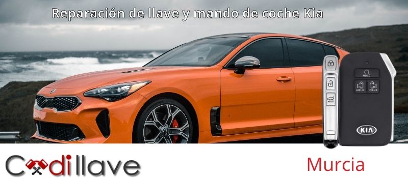 reparacion de mandos y llaves de coche Murcia codillave reparacion de mandos y llaves de coche Murcia codillave